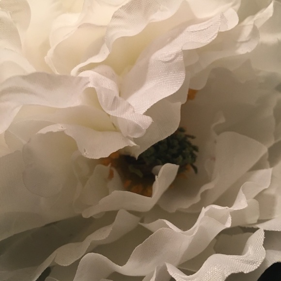 Meet your Posher, Annie - Picture 2 of 2